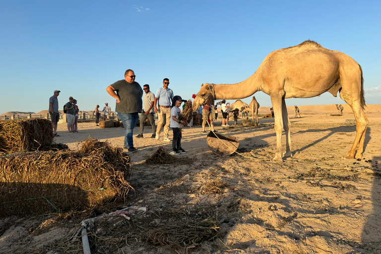 Hurghada: Camel Ride & horse ride and Off-Road Jeep Tour pickup from hotels inside hurghada