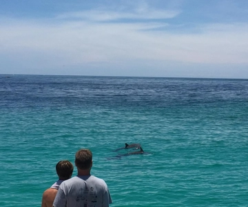 Panama City Beach: Dolphin Sightseeing Sail on the Footloose