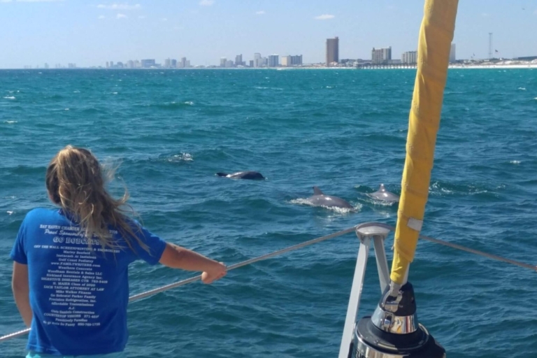 Panama City Beach: dolfijnen spotten per catamaran