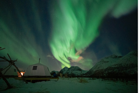 Tromsø: rendieren voeren en kans op noorderlicht