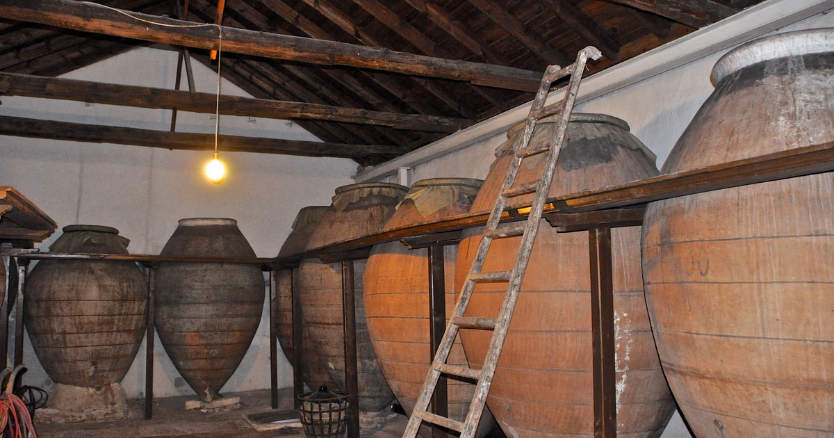 Madrid Region Wineries Guided Tour and Tastings GetYourGuide