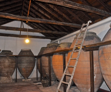 Madrid: Regional Madrid Wineries Guided Tour and Tastings