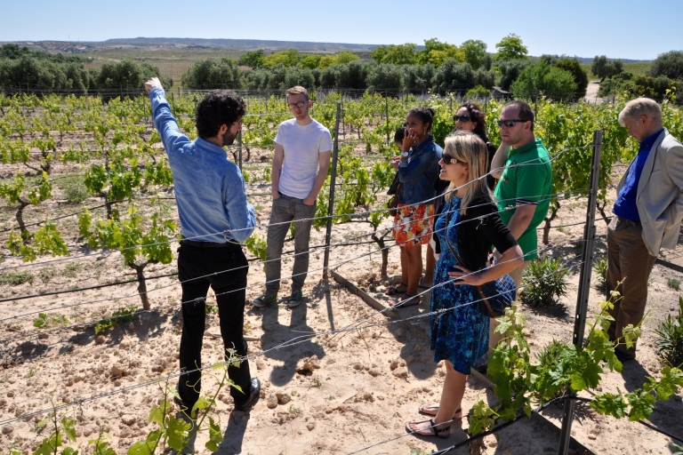 Madrid Region Wineries: Guided Tour and Tastings Madrid Region Wineries: Half-Day Guided Tour and Tastings