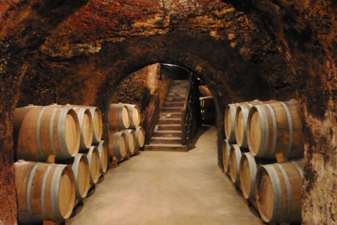 Madrid Region Wineries: Guided Tour and Tastings Madrid Region Wineries: Half-Day Guided Tour and Tastings