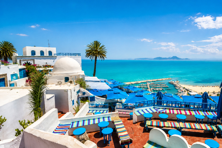 Sidi Bou Said, Carthage, Bardo, Medina Day Trip from Monastir or Sousse without a live guide, the driver is your traveling companion