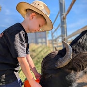 Atherton Tablelands: Behind the Scenes Farm Tour