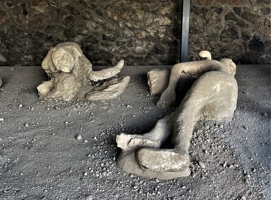 Pompeii : Theaters and the Garden of Fugitives | GetYourGuide