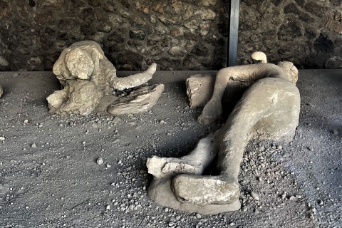 Pompeya: teatros y jardín de fugitivosTour privado