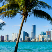 Miami: Guided City Tour and Boat Ride