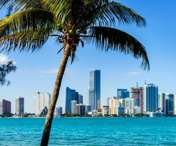 Miami: Guided City Tour and Boat Ride