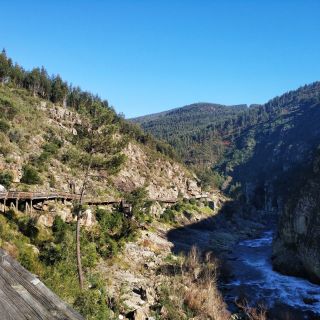 From Porto: Arouca 516 and Paiva Walkways Guided Day Trip
