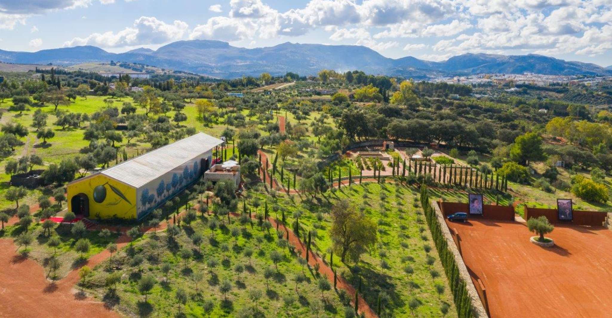 Ronda, Organic Olive Oil Tour with Tasting - Housity