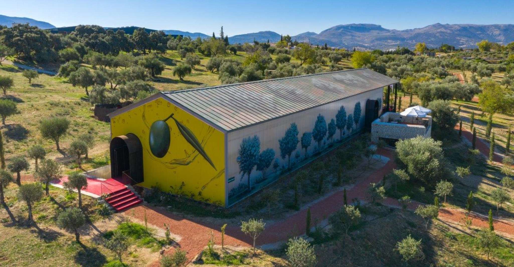 Ronda, Tour orgánico de aceite de oliva con degustación - Housity