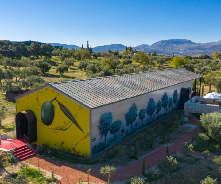 Ronda: Organic Olive Oil Tour with Tasting