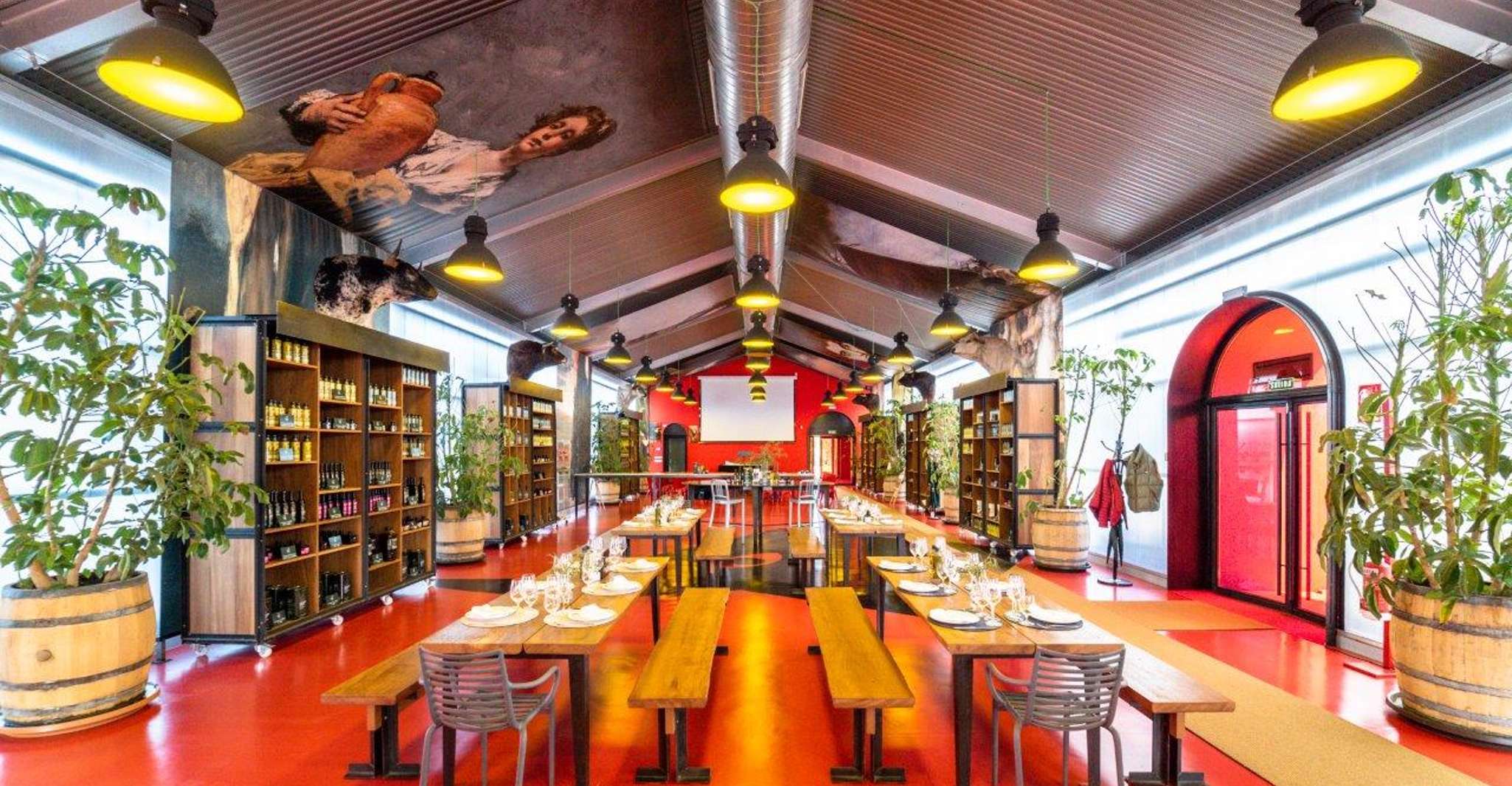 Ronda, Organic Olive Oil Tour with Tasting - Housity