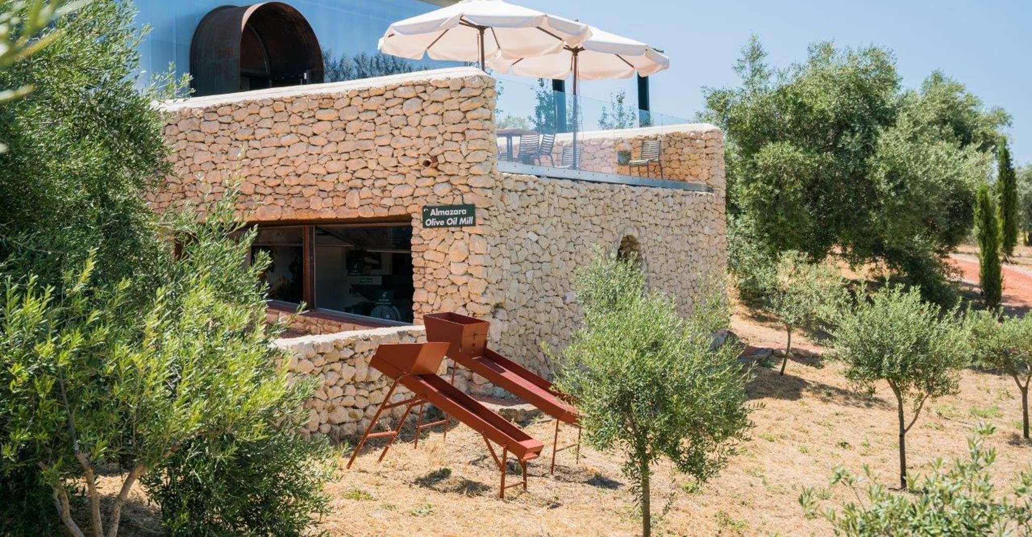 Ronda, Organic Olive Oil Tour with Tasting - Housity
