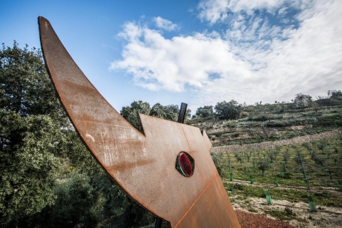 Ronda: visite et dégustation d'huile d'olive biologiqueRonda: visite de dégustation d'huile d'olive biologique et de vin