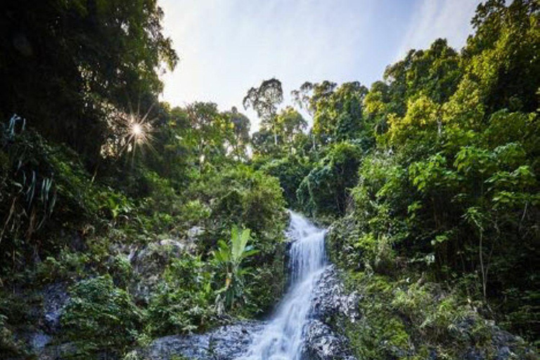 Krabi: Jurassic World Location Filming & Options ATV, Kayak Jurassic World Location Filming+Elephant Feeding+Kayaking