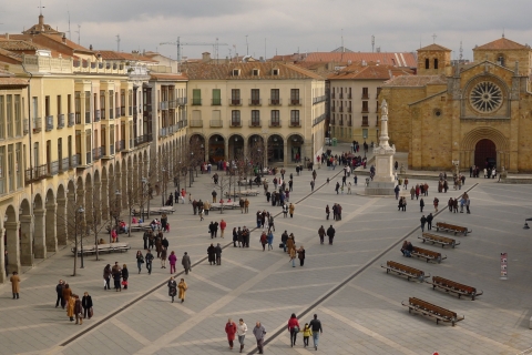 Z Madrytu: Prywatna wycieczka Avila