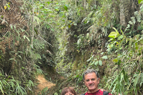 From Medellín: Coffee Farm Hiking & Exotic Fruit Marketplace
