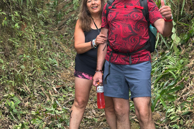 From Medellín: Coffee Farm Hiking & Exotic Fruit Marketplace