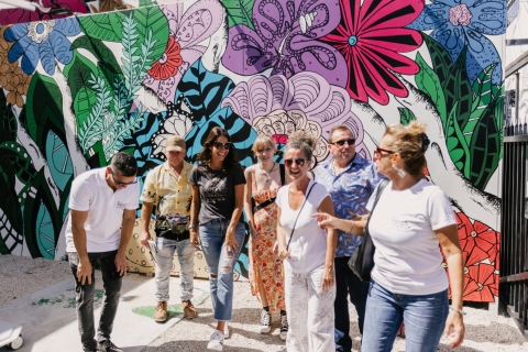 Miami: Wynwood-wandeltochtPrivérondleiding