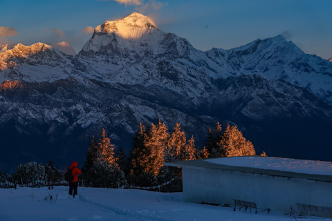 Pokhara: Poonhill Ghandruk Helicopter Tour