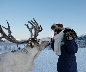 Tromsø: Reindeer Feeding and Sami Cultural Experience