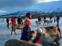 Tromsø, Reindeer Feeding and Sami Cultural Experience - Housity