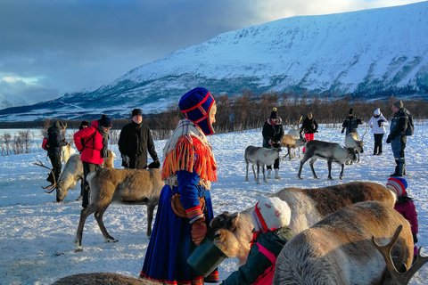 Tromsø: alimentazione delle renne ed esperienza culturale SamiPartenza mattutina