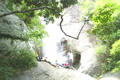 Haputale: Overnight Hiking Trip to Forests and Tea Farms