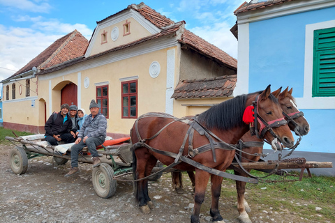 Bucarest : visite médiévale de 4 jours en Transylvanie