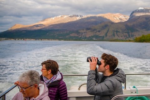 Fort William: cruise naar Loch Linnhe om zeehonden te spotten