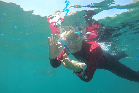 Lisbon: Snorkelling in Sesimbra/Arrábida Natural Park