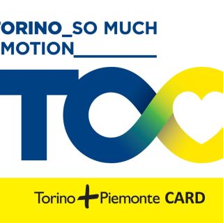 Torino+Piemonte Card: 3 days