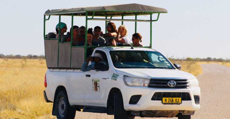 Etosha National Park Full or Half Day Game Drive GetYourGuide