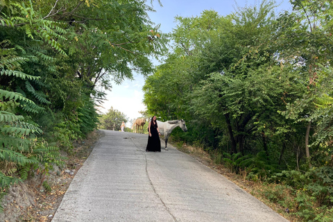 From Tbilisi: Mtskheta Walking Tour along the Aragvi River