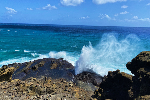 Oahu: Diamond Head Crater Hike och North Shore Experience