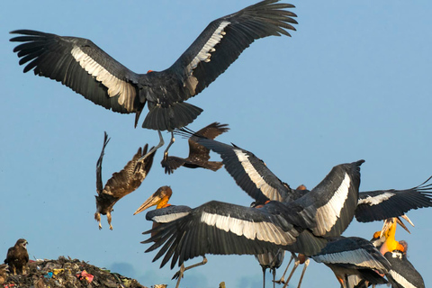 Siem Reap: Prek Toal Tonle Sap Biosphärenreservat-Tour