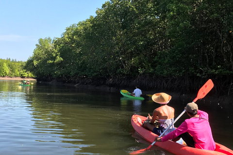 Ko Lanta: Tour di mezza giornata in kayak con mangrovie e pranzo