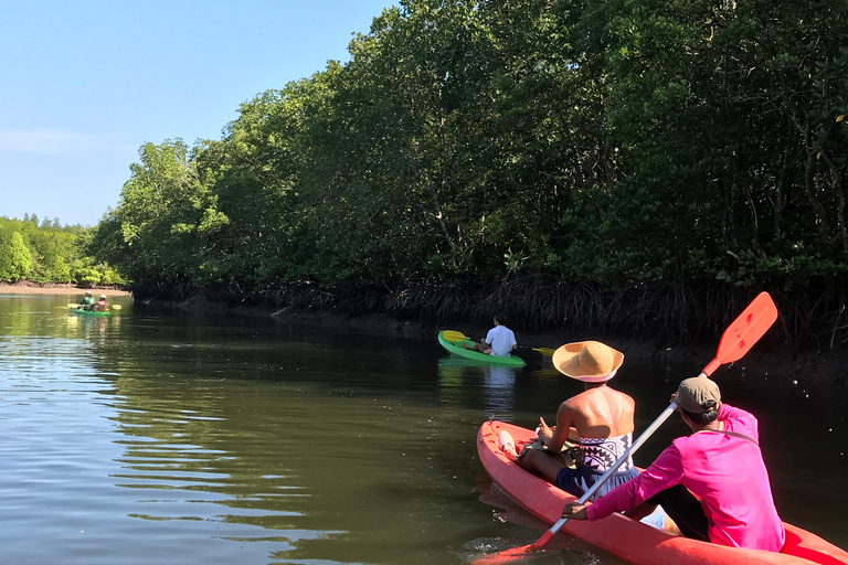 Ko Lanta: Tour di mezza giornata in kayak con mangrovie e pranzo