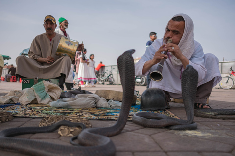 Marrakesh: begeleide wandeltocht op maatPrivétour: halve dag 3 uur