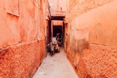 Marrakech : visite guidée à pied personnaliséeVisite privée : demi-journée de 3 heures