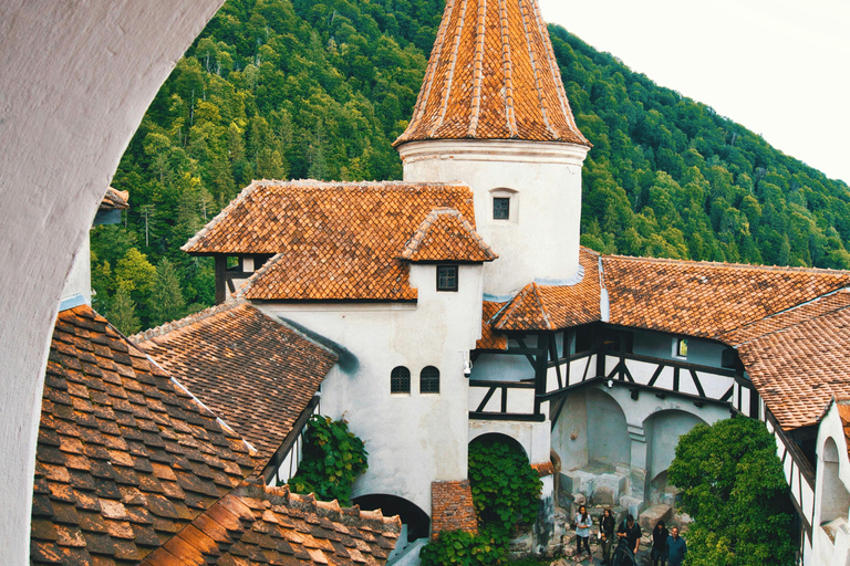 Tour esclusivo di 1 giorno in auto: Peles, il Castello di Dracula e Brasov