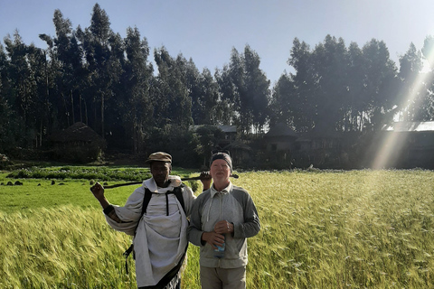 Visite d'une journée des églises de LalibelaVisite d'une jounée des églises de Lalibela