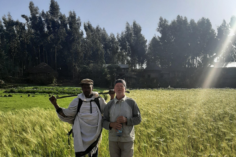 Visite d'une journée des églises de LalibelaVisite d'une jounée des églises de Lalibela