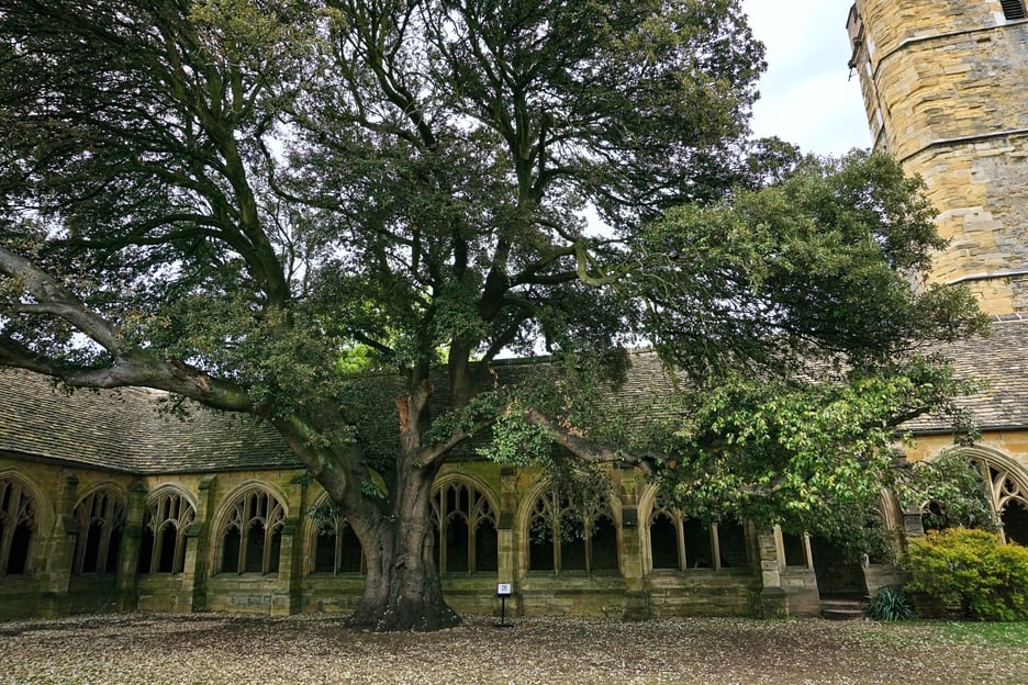 Oxford: Harry Potter Film Tour Led by University Alumni