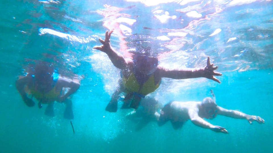 Snorkeling con manate e tartarughe a San Juan - Hizvo