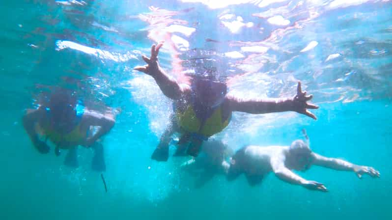 San Juan: Manatee and Turtle Snorkeling Tour with Rum | GetYourGuide