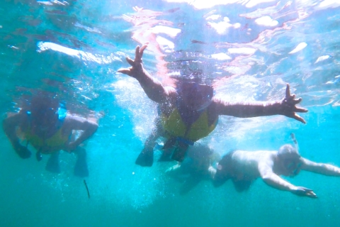 Snorkelen met zeekoeien & schildpadden in San JuanSan Juan snorkelen: Zeekoeien, zeeschildpadden & meer!